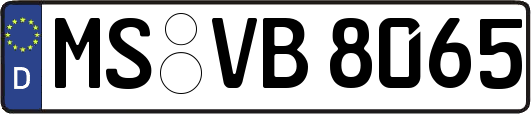 MS-VB8065