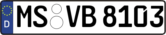 MS-VB8103