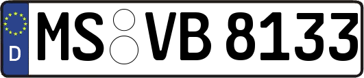 MS-VB8133