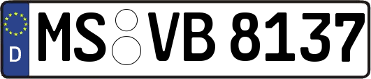 MS-VB8137