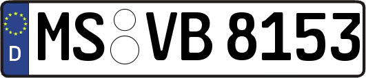 MS-VB8153