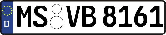 MS-VB8161