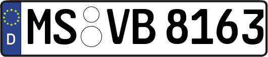 MS-VB8163
