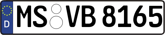 MS-VB8165