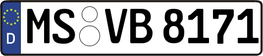 MS-VB8171