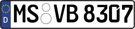 MS-VB8307
