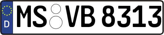 MS-VB8313