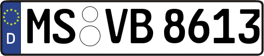 MS-VB8613