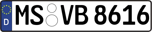MS-VB8616