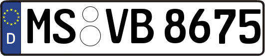 MS-VB8675