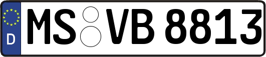 MS-VB8813