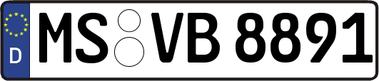MS-VB8891