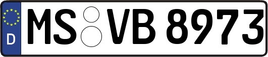 MS-VB8973