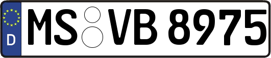 MS-VB8975