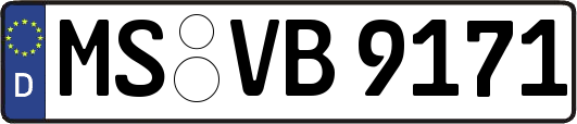 MS-VB9171