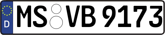MS-VB9173