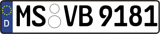 MS-VB9181