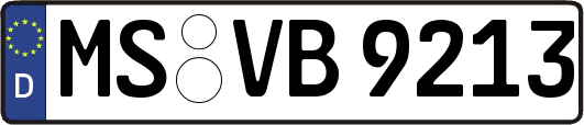MS-VB9213