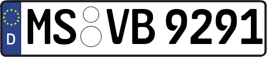 MS-VB9291
