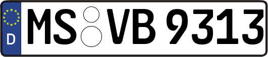 MS-VB9313