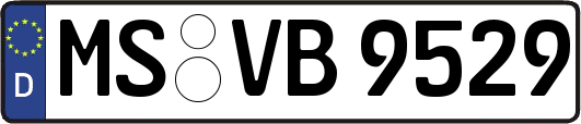 MS-VB9529