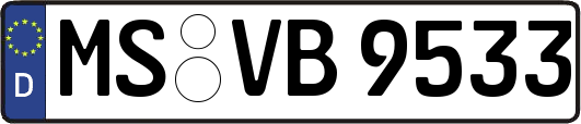 MS-VB9533