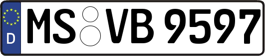 MS-VB9597