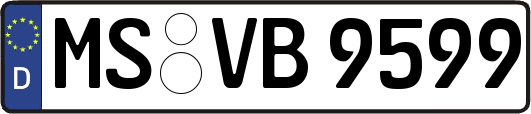 MS-VB9599
