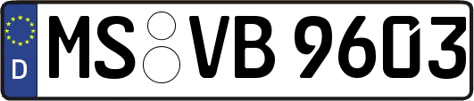 MS-VB9603