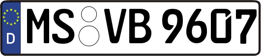 MS-VB9607