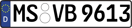 MS-VB9613