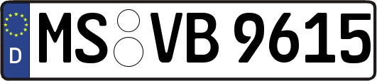 MS-VB9615