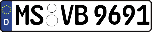 MS-VB9691