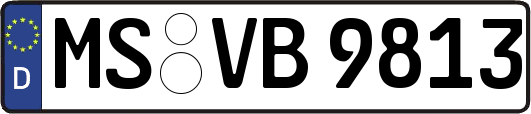 MS-VB9813