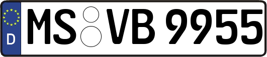 MS-VB9955