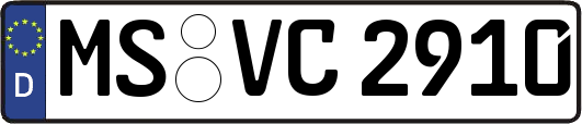 MS-VC2910