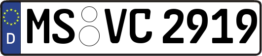 MS-VC2919