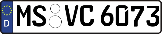MS-VC6073