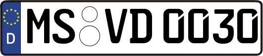 MS-VD0030