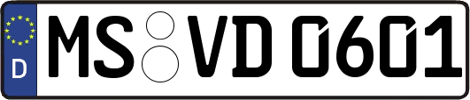 MS-VD0601