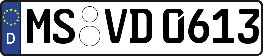 MS-VD0613