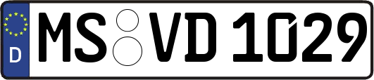 MS-VD1029