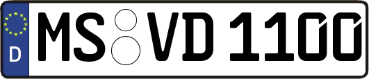 MS-VD1100