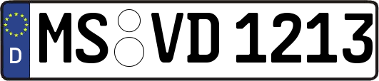 MS-VD1213