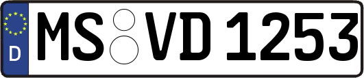 MS-VD1253