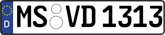 MS-VD1313
