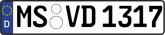 MS-VD1317