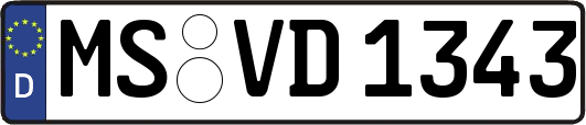MS-VD1343