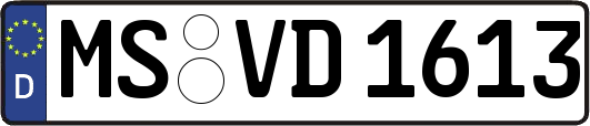 MS-VD1613