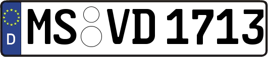 MS-VD1713